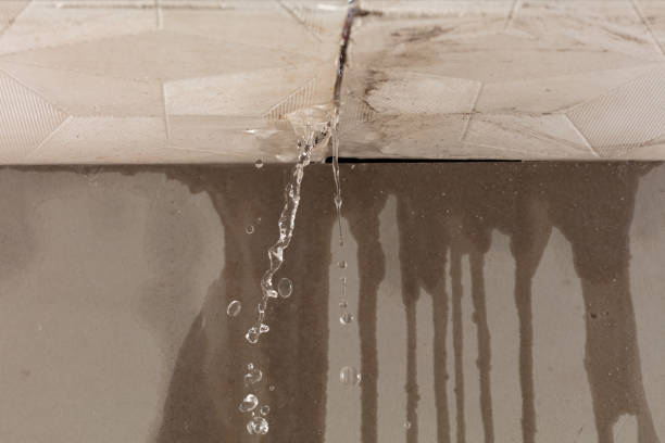 Professional Water Damage Repair technician working in Wann, OK